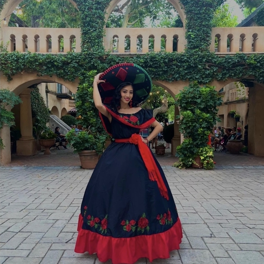 Elegant Black and Red Embroidered Dress
